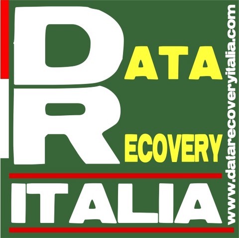 Datarecoveryitalia - Recupero dati - Logo